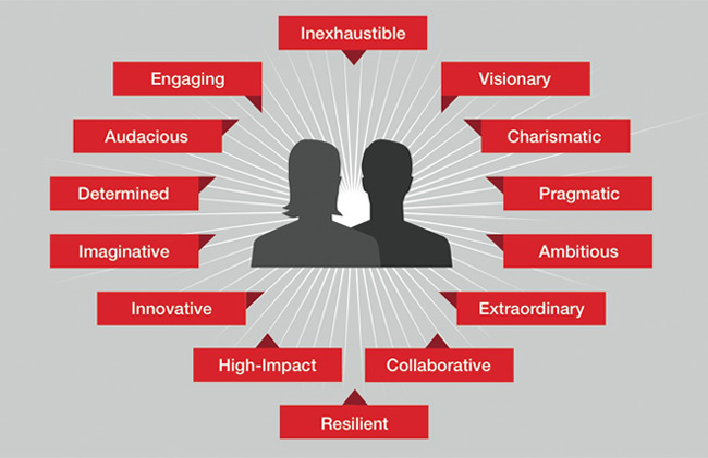 infografic illustrating what makes a good TED Prize winner